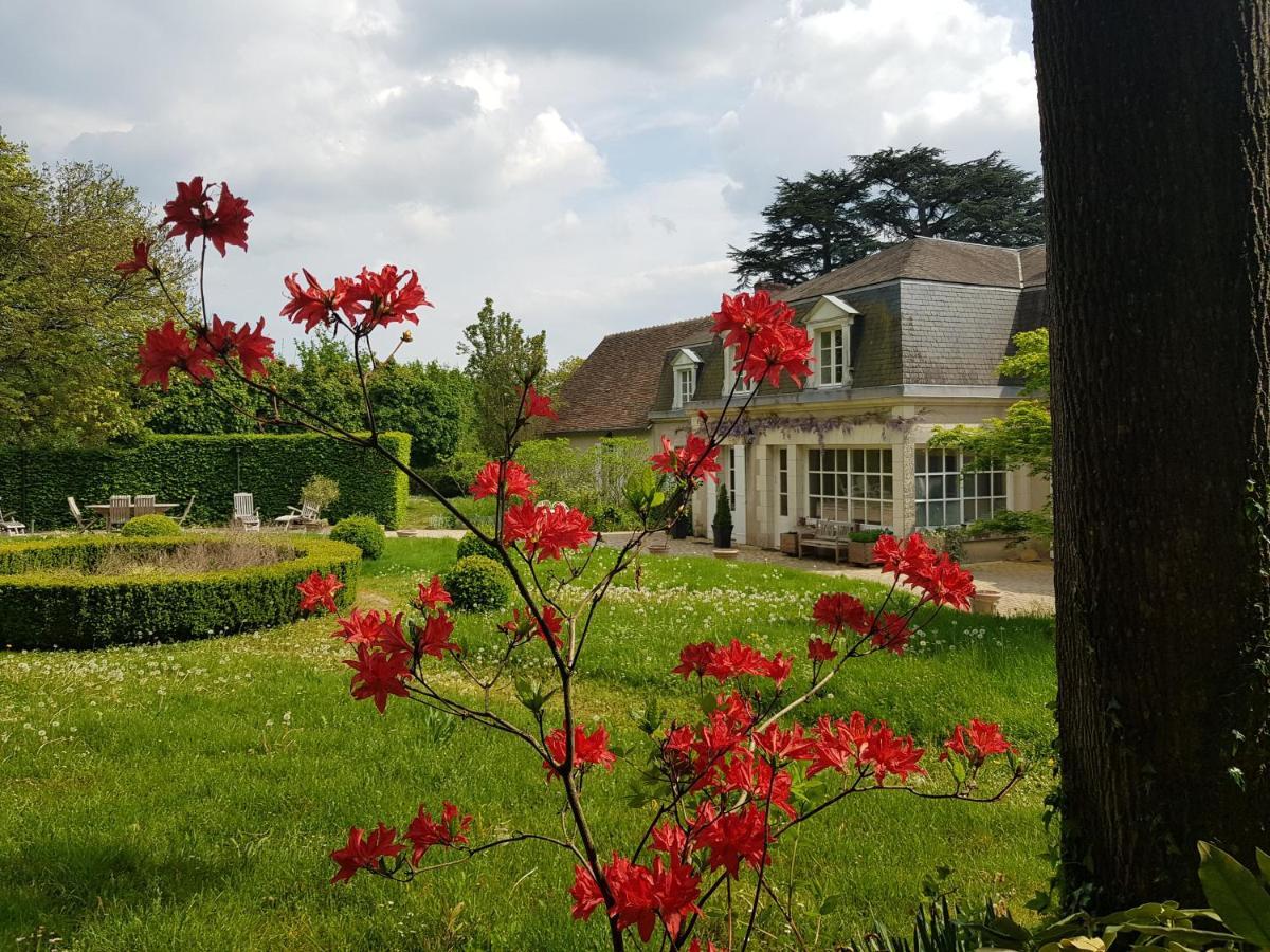 Bed and Breakfast La Taille De Biou Huisseau-sur-Cosson Экстерьер фото